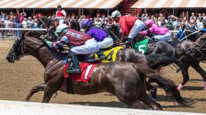 Noel Michaels handicapping, America's Best Racing Sunday Selections, Saratoga